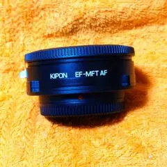 Item thumbnail for item 20fc227b-c089-4d61-ac3c-438a8e5c7054