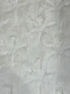 ベルボア 白