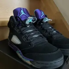 Item thumbnail for item b16a09c2-6442-4dcc-89ed-dc353a8989db