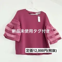 【最終値下げ】イチエ　ストロベリーフィールズ　ブラウス　トップス