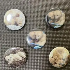 八木山動物公園　ホッキョクグマ　双子　 八木山動物園　缶バッジ　マグネット
