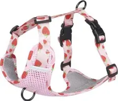 Item thumbnail for item 702fa245-dcf8-41b0-843b-d5b467960955