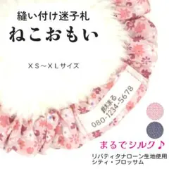 Item thumbnail for item 10ad4233-9907-4090-91fe-8beb13fe3e5e