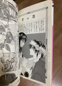 【専用】他の方はご遠慮ください。　花の宴、ハヤブサの2冊セット