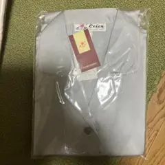 Item thumbnail for item aced3632-a11c-4451-9ef8-e9529d1150fb