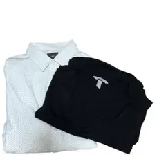 Item thumbnail for item 08ff7433-b864-4ba3-8325-f14c28788077