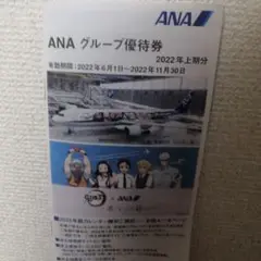ANA グループ優待券 1冊