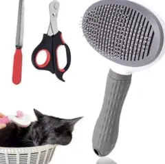 Item thumbnail for item b784961f-f004-4814-acbf-4b34bd5ece59