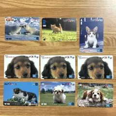 Item thumbnail for item c817c208-89f1-444e-bb58-db919dc96ce9