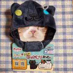 Item thumbnail for item fafe663e-668d-4ac5-adef-6be2f6993808