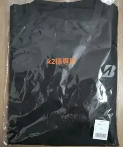 ブリヂストン蓄熱インナーシャツ