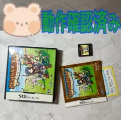 リマインデライト　NintendoDS ソフト　箱　説明書　TJ