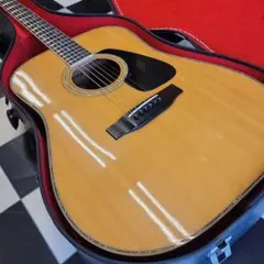MORRIS MD-515 スプルーストップ/アンデスローズ 1980年代 Morris MD－515 '80年代 – オーズウェイ
