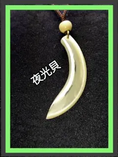夜光貝 ☆ペンダント
