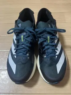 Item thumbnail for item 464fa174-e727-4804-925a-a49de887164e