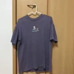 アイスランドスノーハワイティシャツ