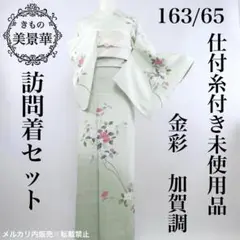 訪問着セット 枝花 薄緑色