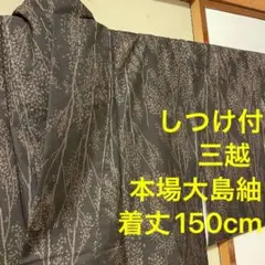 しつけ付 美品 着物 縦横 カタス式 本場大島紬 白大島 正絹 シンプル 木
