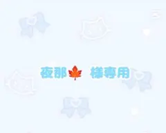 専用出品