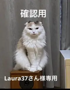 確認用