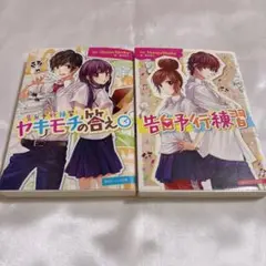 告白予行練習 ヤキモチの答え 小説 2巻セット