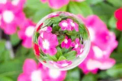 Item thumbnail for item 49acdc11-c501-47ab-9b25-7a24eab9b9d1