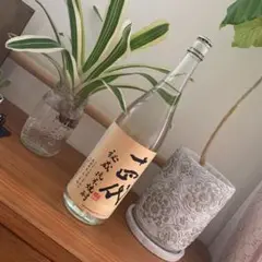 【廃盤品激レア】十四代秘蔵純米焼酎1800ml