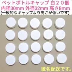 ペットボトルキャップ 白 ２０個。
