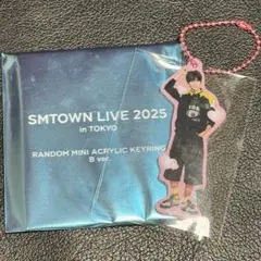 SMTOWN LIVE 2025 ランダムミニアクリルキーホルダー B ウンソク