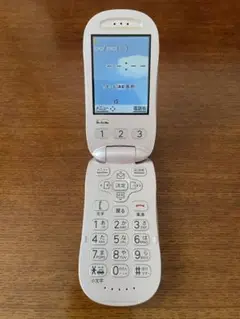 ガラ携帯　NTT DOCOMO F883i