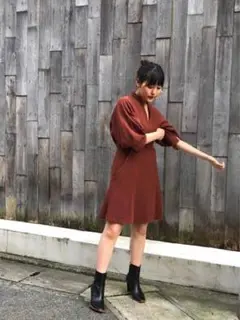 Volume Sleeve Dress