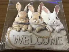 うさぎ ウェルカムボード ラビット 壁掛け ウェルカムボード