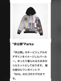 MEI NAGANO 非公開パーカー 永野芽郁 非公開 Parka 武道館
