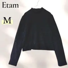 Item thumbnail for item ad304971-1908-44b8-b682-2db8a1e2f457