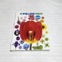 Item thumbnail for item c0f7e850-ce1b-4f63-9eb5-fdf57cce8be9