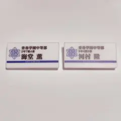 テニプリ展 ネームプレート 海堂薫 河村隆 青学