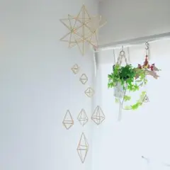 ストローヒンメリ 麦わら色 ☆メテオ☆