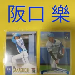 阪口樂 2枚セット カード