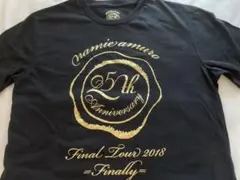 安室奈美恵Finallyグッズ