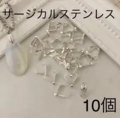 バチカン ピンチベイル サージカルステンレス製