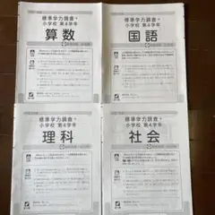 小学校4年生 標準学力調査問題集