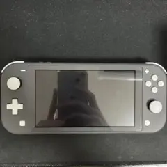 Nintendo Switch NINTENDO SWITCH LITE グレー