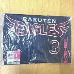 Item thumbnail for item 5aa24cd5-1bb6-4c7f-b005-9cc4d738f81c