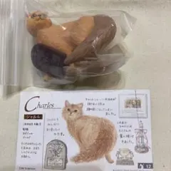 ナーゴコレクション「シャルル」※シリーズ内複数ご購入で2品目から150円引き