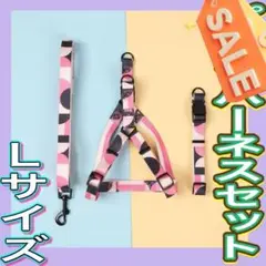Item thumbnail for item 96bbb3f6-9801-4252-80d5-ea2a64c272d0