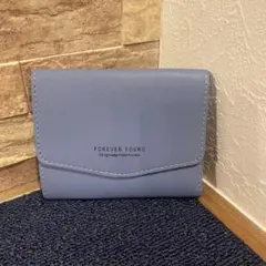 r79☆ミニ財布 名刺入 カードケース 定期入 大容量 パスケース 817