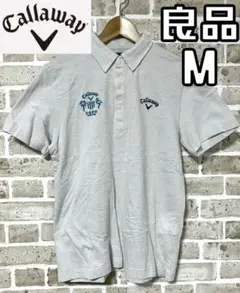 Item thumbnail for item 8e885483-3a40-4a82-a6bb-b5a19937305a