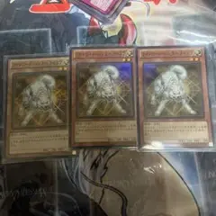 ライトロードハンターライコウスーパーレア3枚