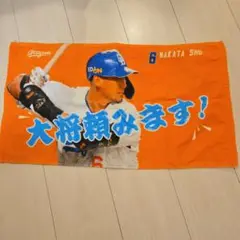 中日ドラゴンズ 中田翔 シークレット選手ミニフェイスタオル ドラゴンズガチャ