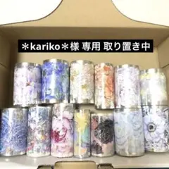 海外マステ 中古 13巻 まとめ売り
